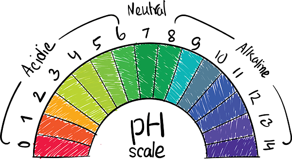 pH scale of alkaline water produced by a water ionizer